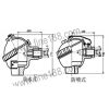 热电阻/热电偶/温度变送器