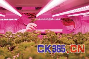 凯文凯利:物联网够聪明才能大爆发