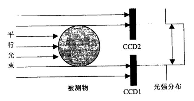 两种应用于大尺寸测量的双CCD测径仪系统的研发