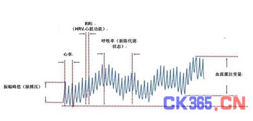 光学心率传感器的工作原理与应用