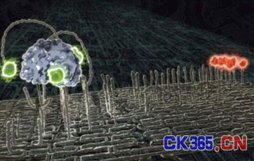 纳米机器人：于细微处见神奇