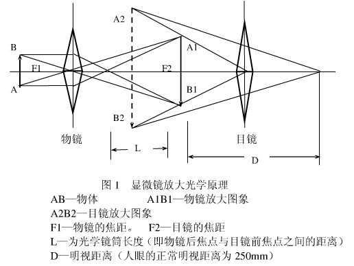 金相显微镜的原理图