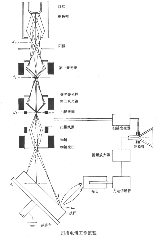 扫描电镜工作原理