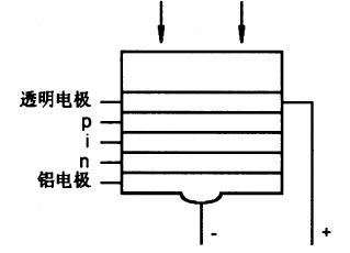 单电池结构图