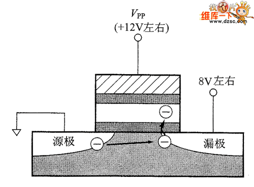 闪速存储器的写入操作