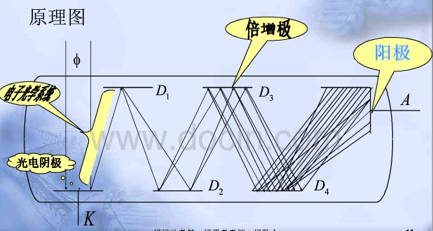 光电倍增管